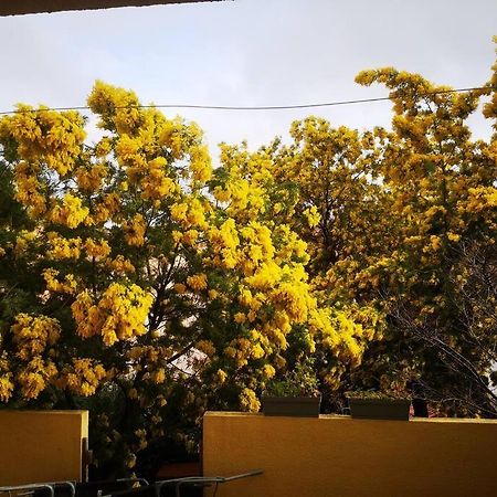 Appartement Proche Mer Avec Terrasse Et Jardin Privatif Hyères Buitenkant foto