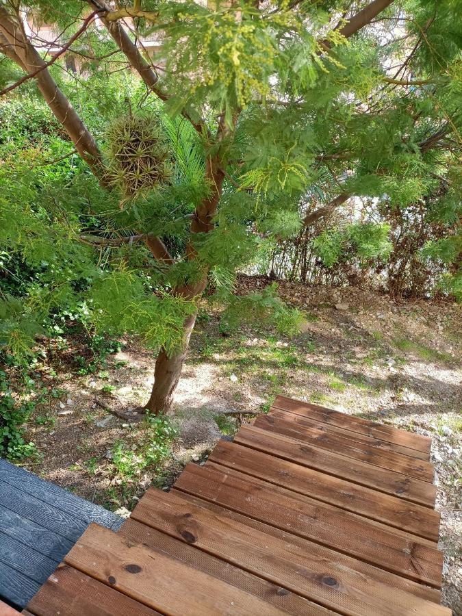 Appartement Proche Mer Avec Terrasse Et Jardin Privatif Hyères Buitenkant foto